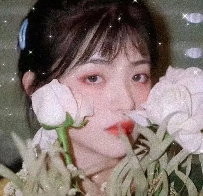 来自收容所的爱