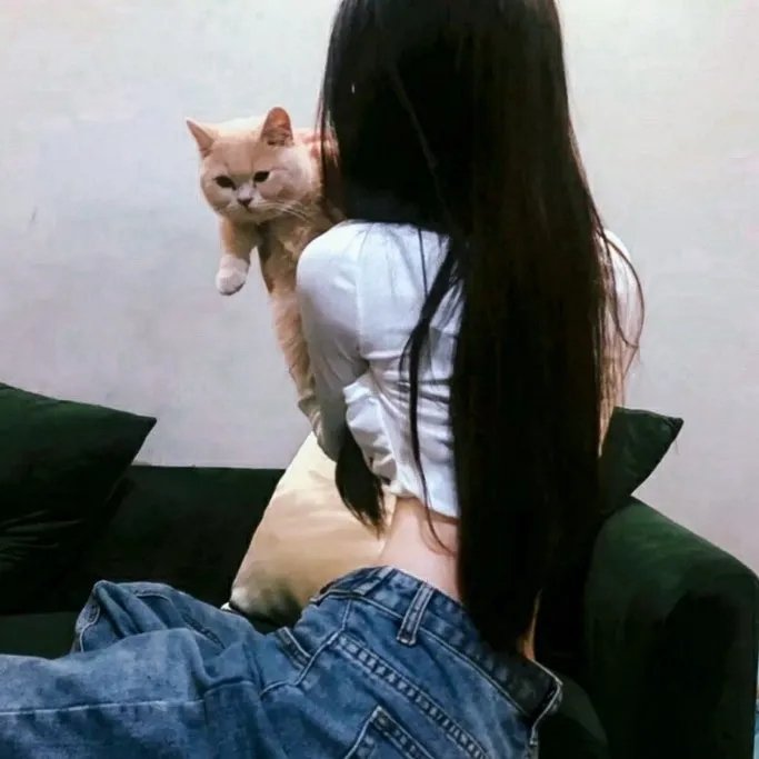 过年回家